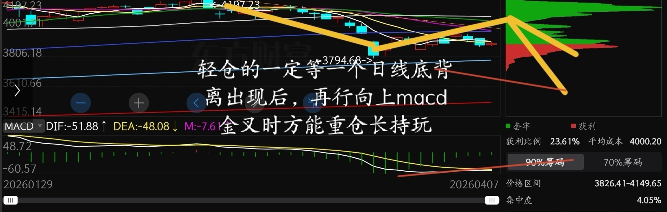 猫的时光 - 财经博主 画图留白