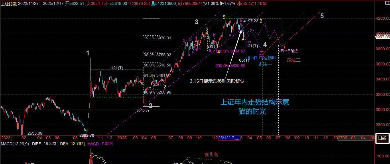 猫的时光 - 财经博主 画图留白