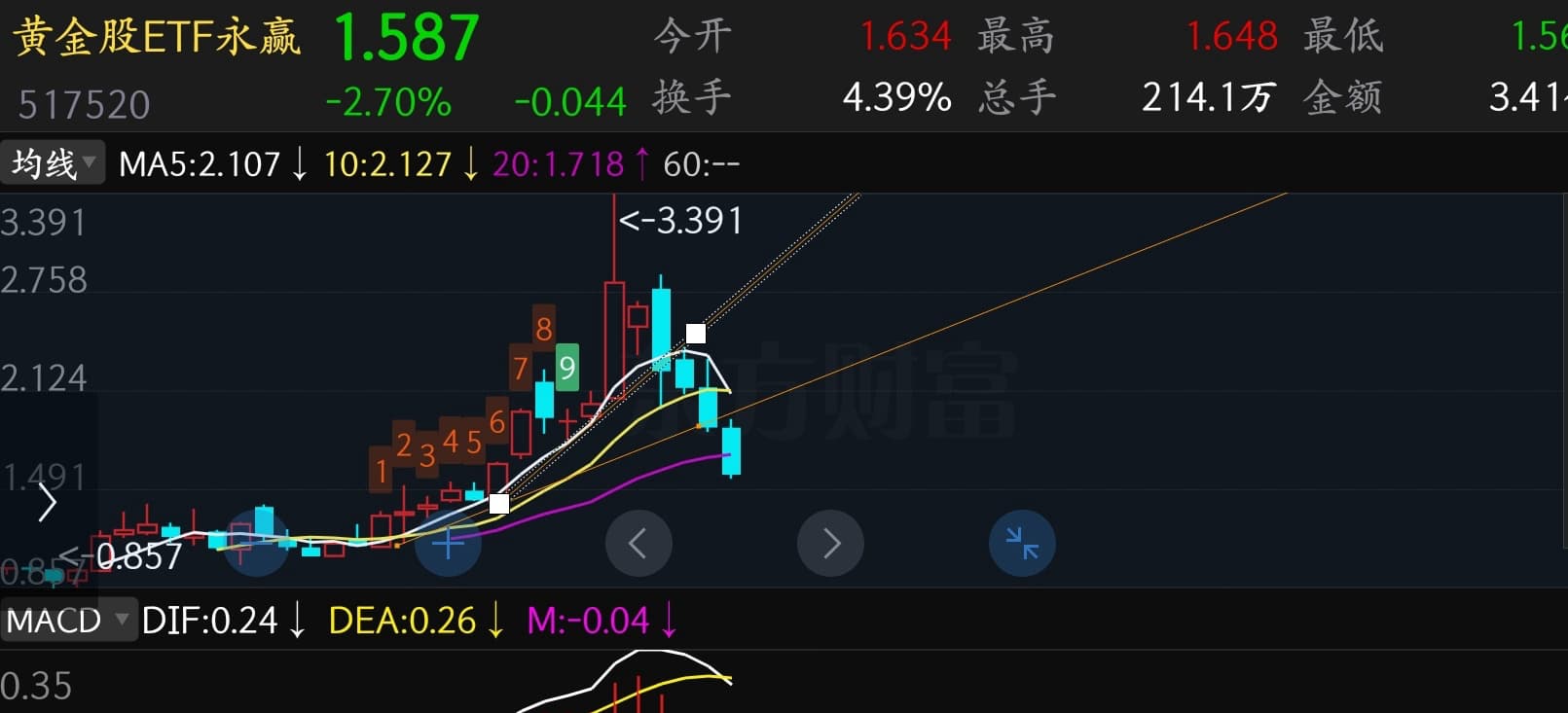 猫的时光 - 财经博主 画图留白