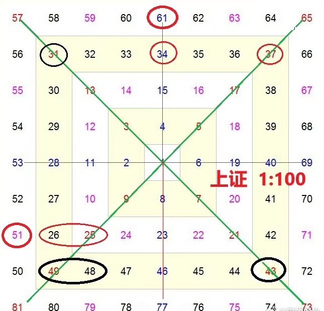 猫的时光 - 财经博主 画图留白