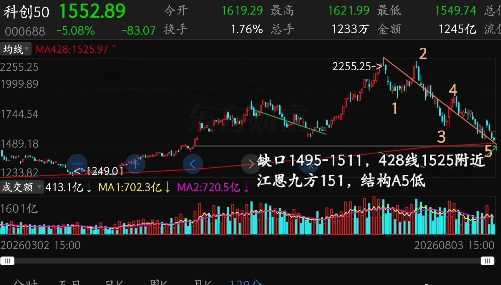 猫的时光 - 财经博主 画图留白