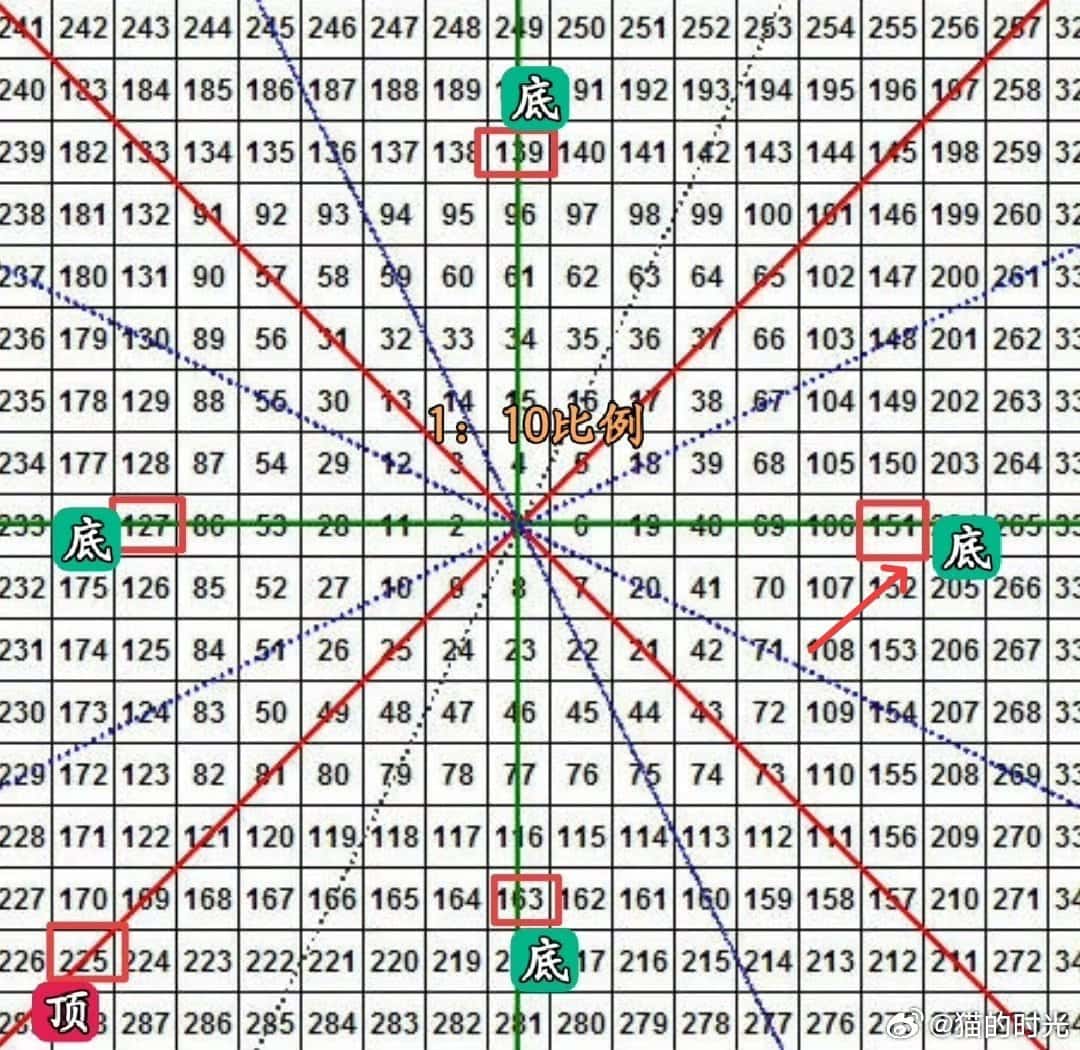 猫的时光 - 财经博主 画图留白