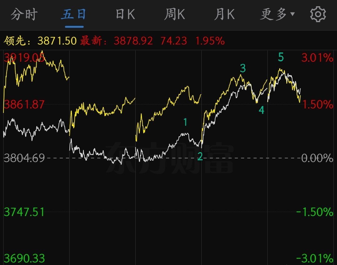 猫的时光 - 财经博主 画图留白