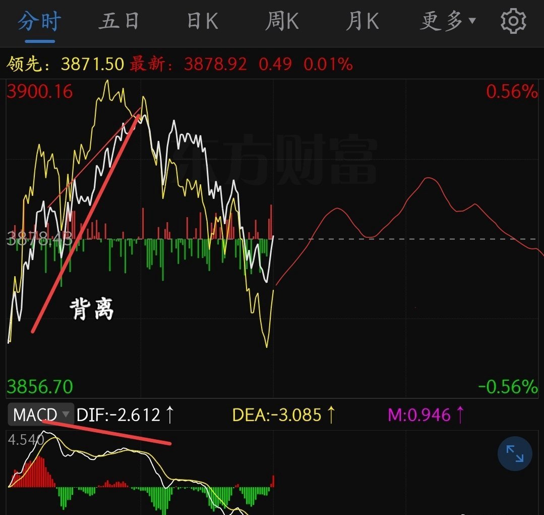 猫的时光 - 财经博主 画图留白