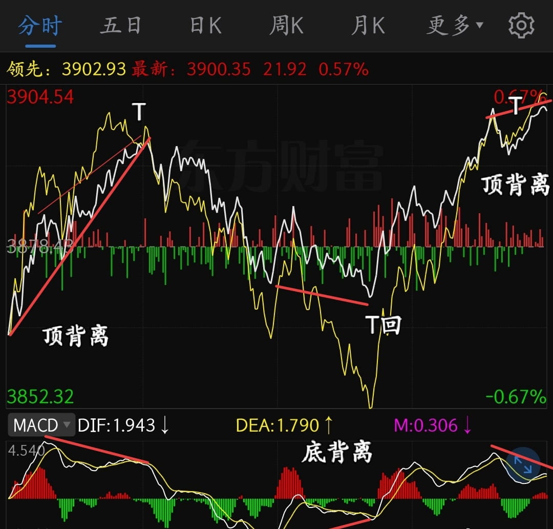 猫的时光 - 财经博主 画图留白