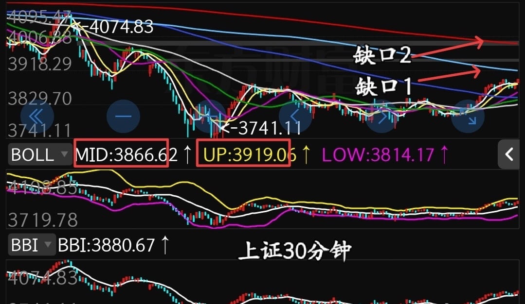 猫的时光 - 财经博主 画图留白