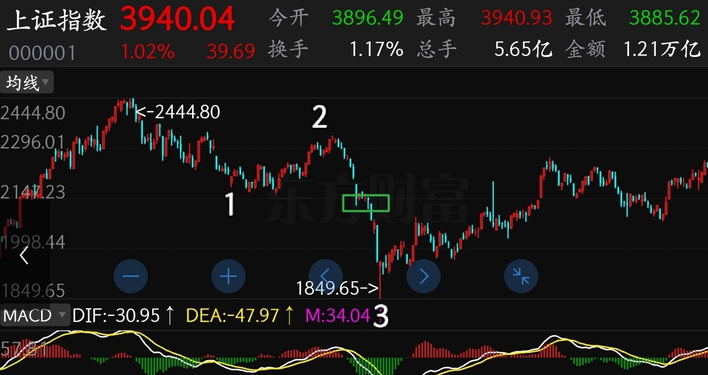 猫的时光 - 财经博主 画图留白